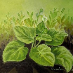 Owisokon Lahache  - Oienkwaon  Ceremonial Tobacco   Acrylic  8.5x11