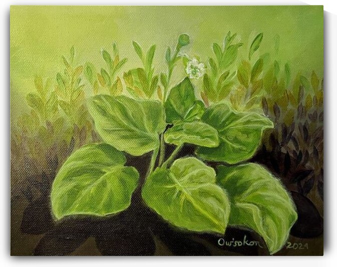 Owisokon Lahache  - Oienkwaon  Ceremonial Tobacco   Acrylic  8.5x11 by Global Art League