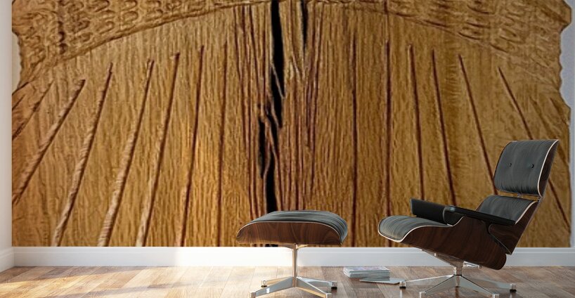 Bob Card   - Sunrise - Mix medium - 15x10 Wall Murals