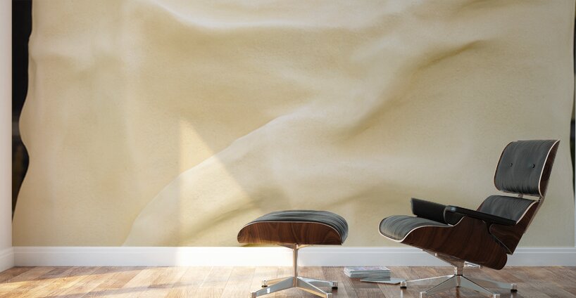 Angelika Bowen   - Dune - Mix Medium - 20x20 Wall Murals