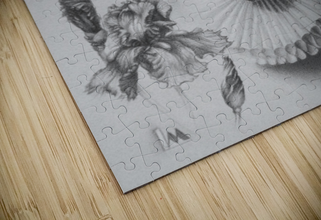 Lana Matskiv  - Prince Desire  Pencil  18x24 Global Art League Puzzle